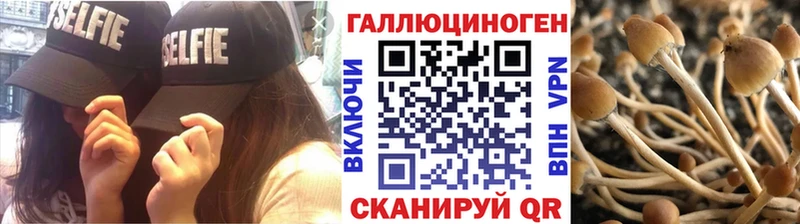 OMG зеркало Аркадак Галлюциногенные грибы Magic Shrooms